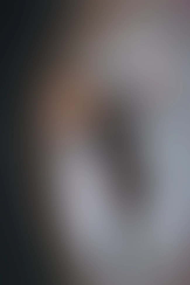 Only for VIP-Customers visible