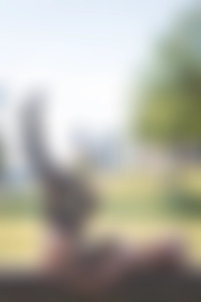 Nur für Club-Mitglieder sichtbar