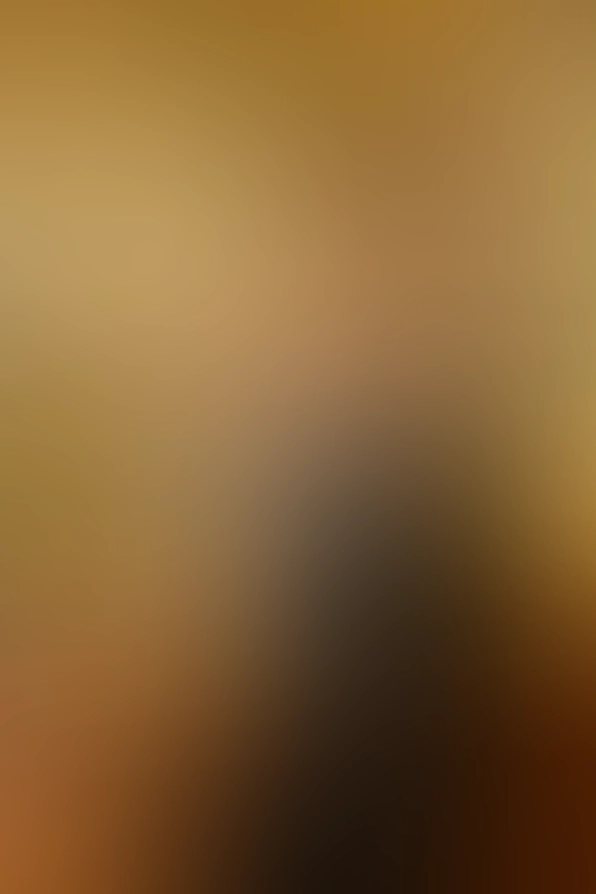 Only for VIP-Customers visible