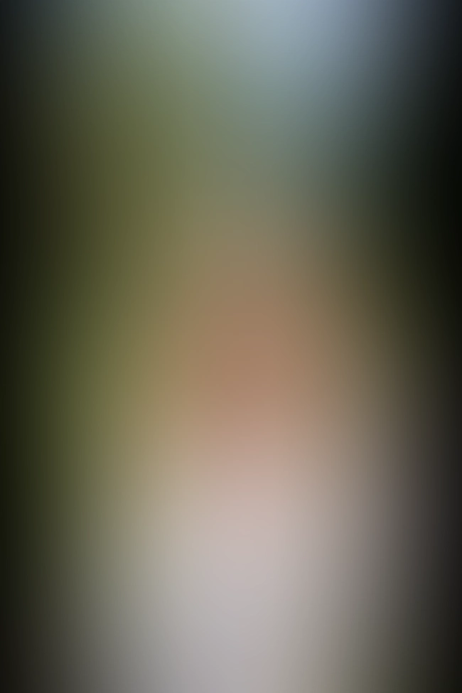 Only for VIP-Customers visible