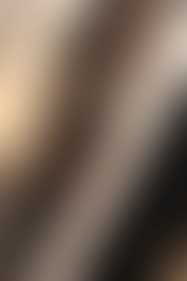 Only for VIP-Customers visible