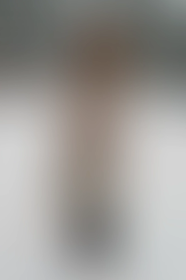 Only for VIP-Customers visible