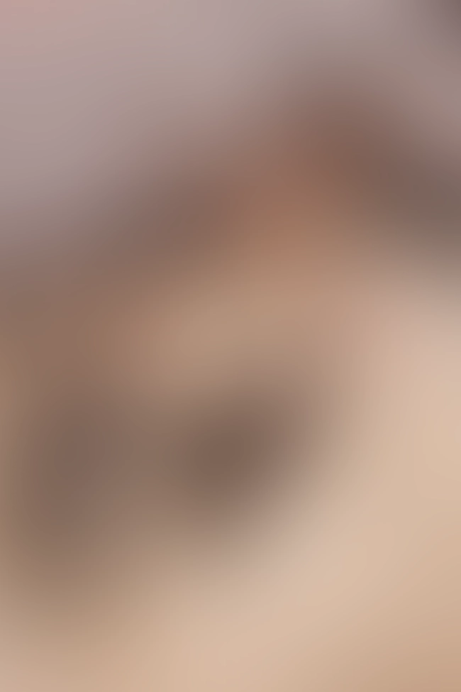 Nur für Club-Mitglieder sichtbar