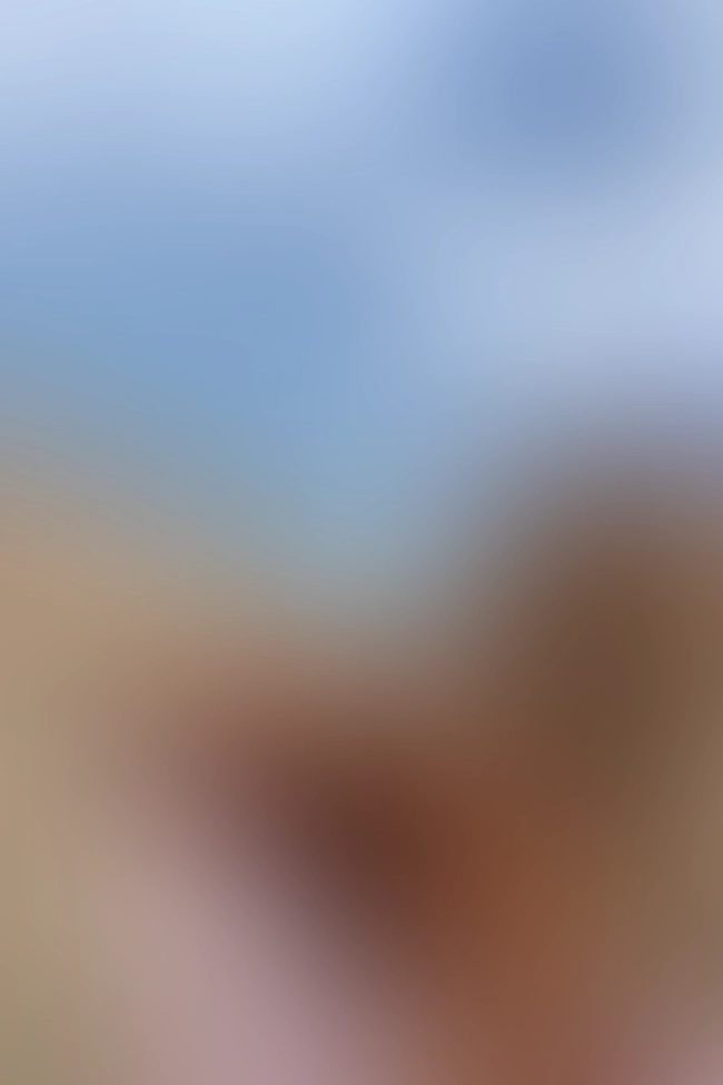 Only for VIP-Customers visible