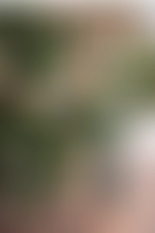 Only for VIP-Customers visible