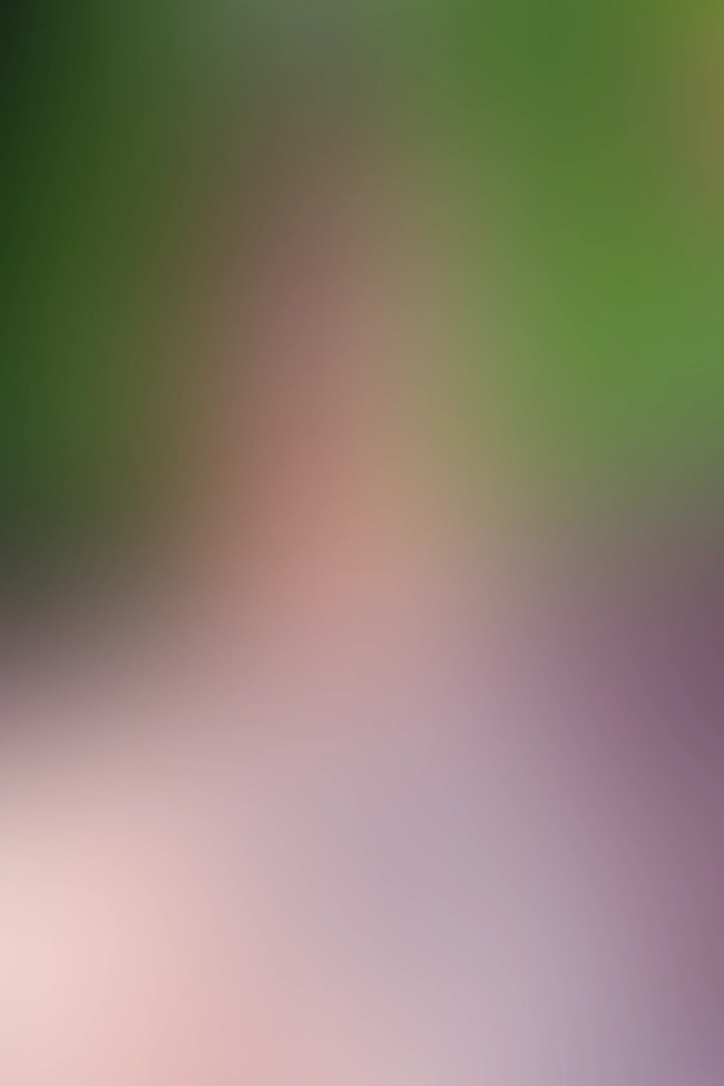 Nur für Club-Mitglieder sichtbar