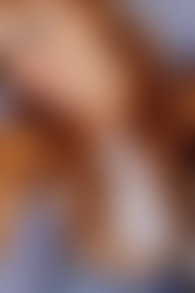 Only for VIP-Customers visible