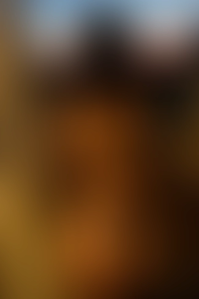 Only for VIP-Customers visible