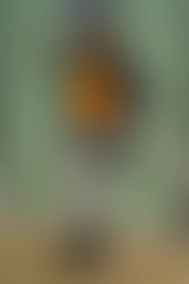 Nur für Club-Mitglieder sichtbar