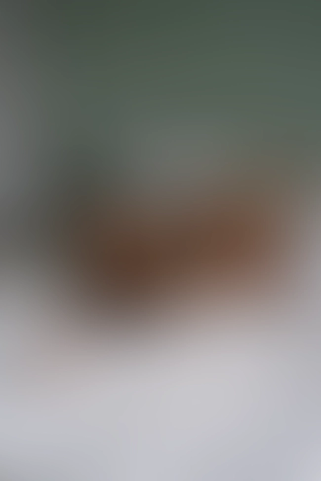 Nur für Club-Mitglieder sichtbar