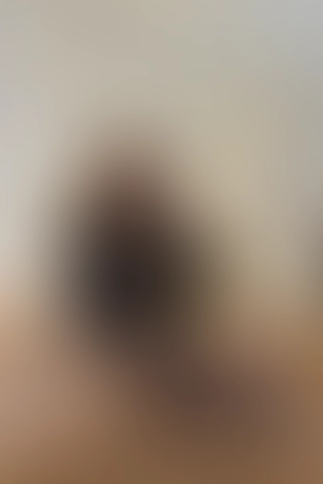 Samira Thal - Foto 11