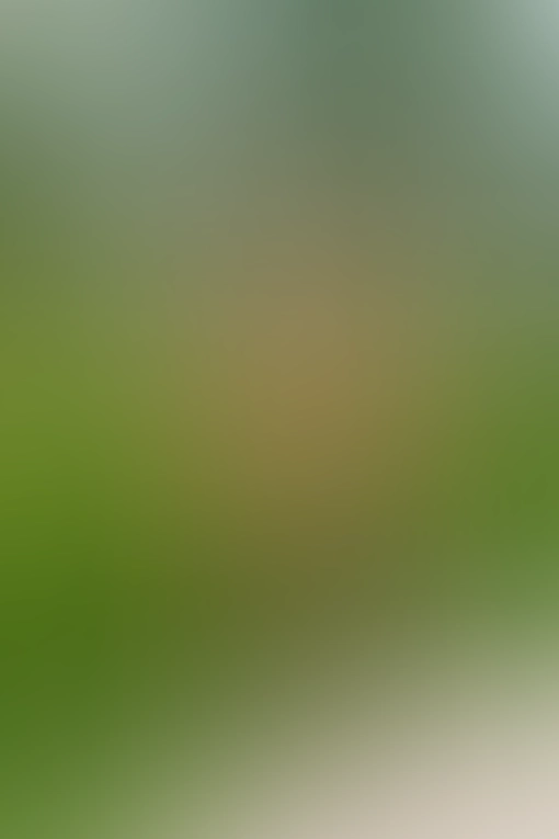 Only for VIP-Customers visible