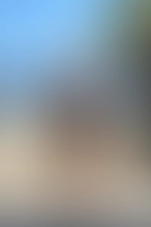 Only for VIP-Customers visible