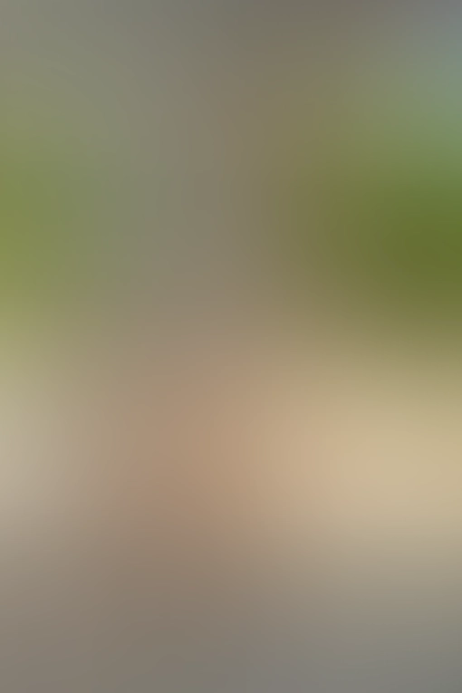 Only for VIP-Customers visible