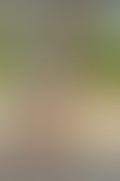 Nur für Club-Mitglieder sichtbar