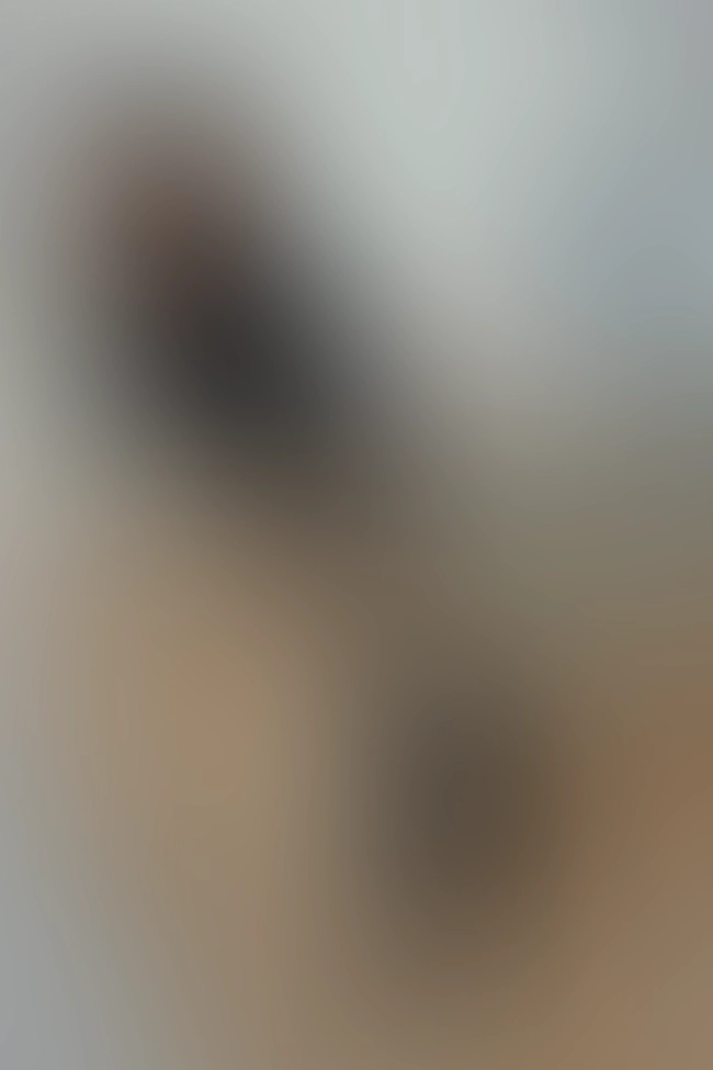 Nur für Club-Mitglieder sichtbar