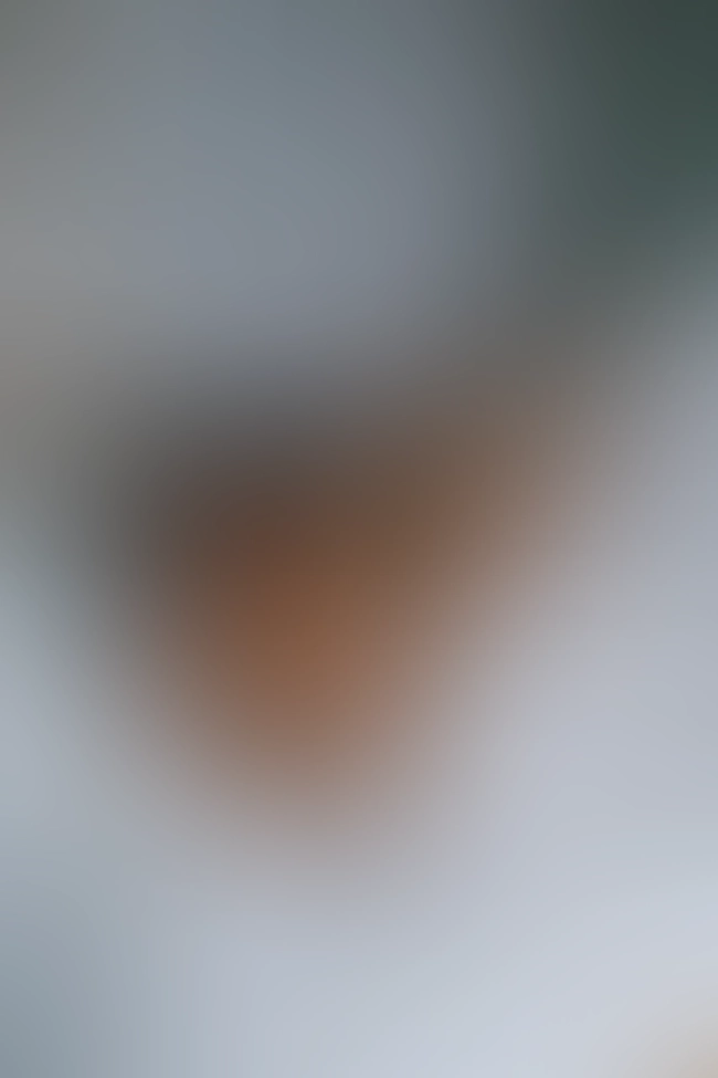 Nur für Club-Mitglieder sichtbar