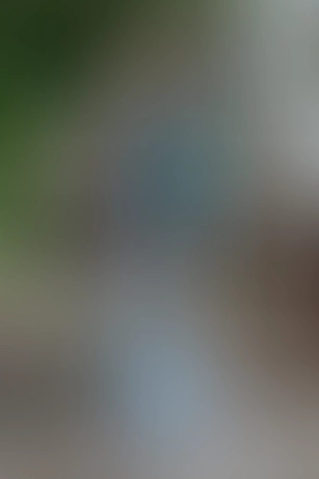 Nur für Club-Mitglieder sichtbar