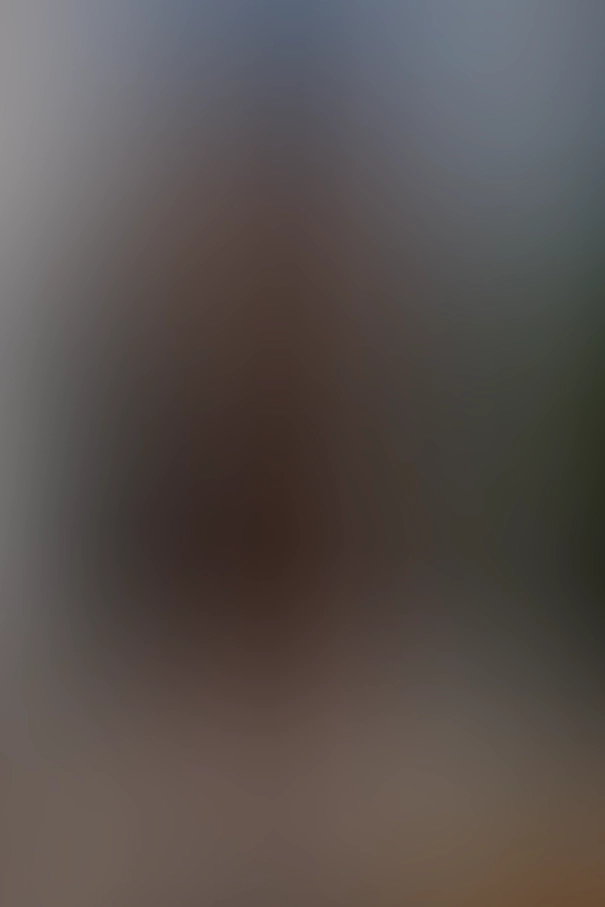 Only for VIP-Customers visible