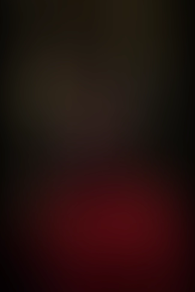 Only for VIP-Customers visible