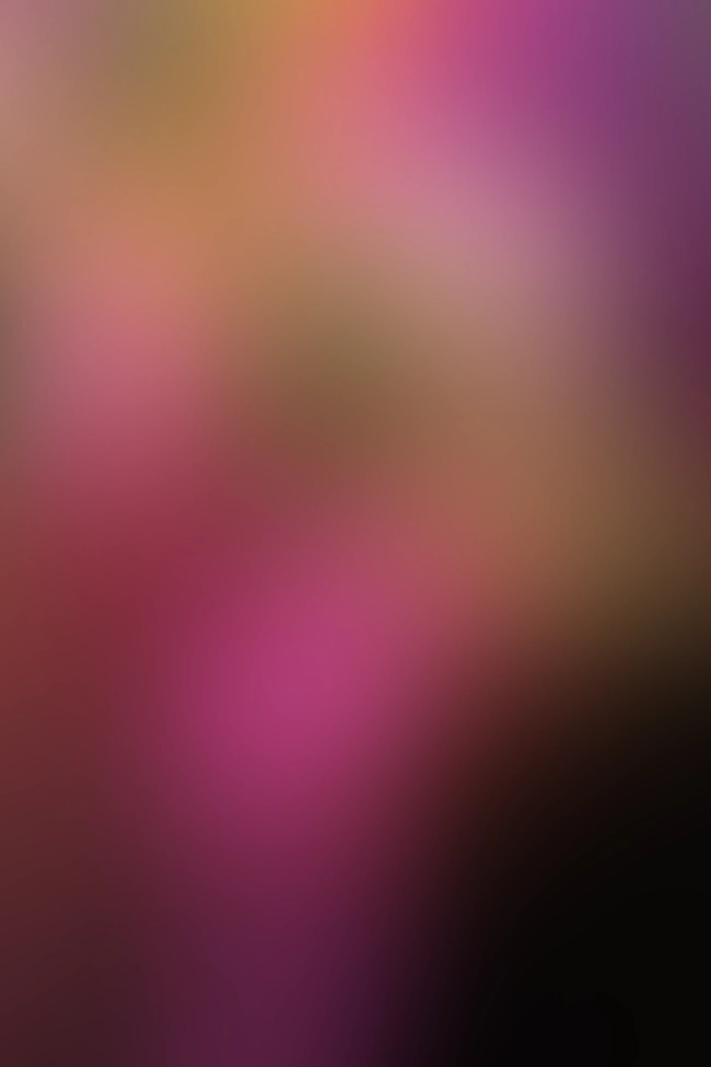 Nur für Club-Mitglieder sichtbar