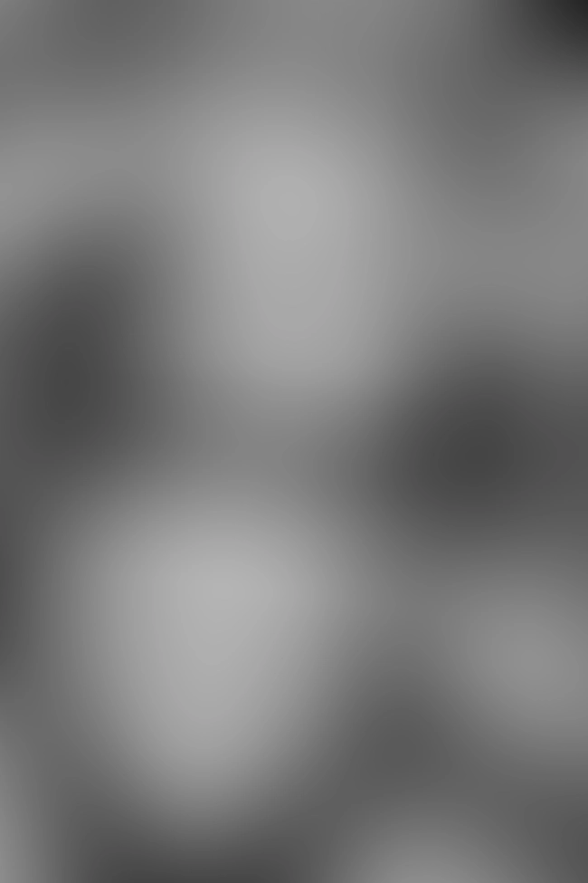 Only for VIP-Customers visible