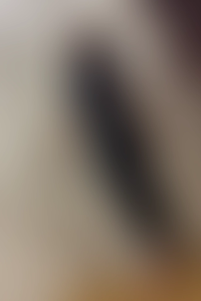 Nur für Club-Mitglieder sichtbar