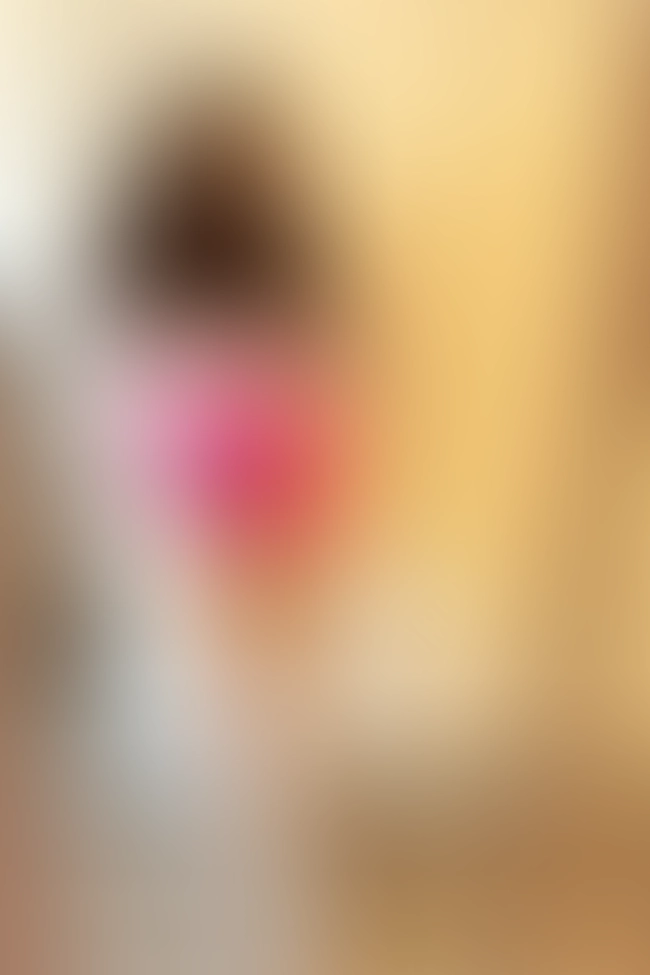 Only for VIP-Customers visible