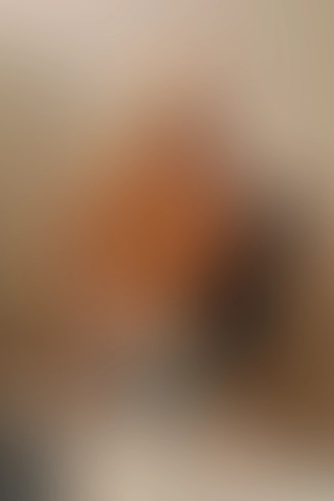 Only for VIP-Customers visible