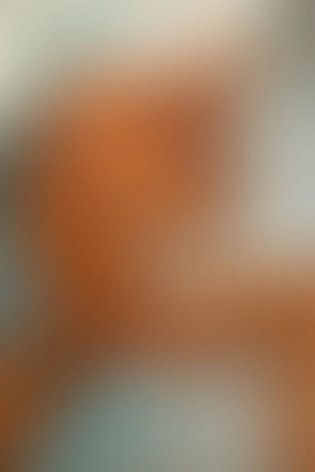 Only for VIP-Customers visible