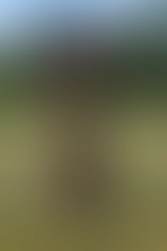 Nur für Club-Mitglieder sichtbar