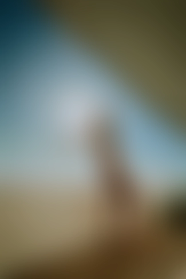 Only for VIP-Customers visible