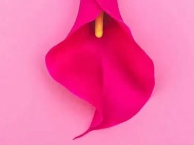 Was du über die Vagina wissen solltest