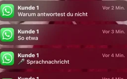 Woran liegt es, wenn Escorts wenig verdienen?