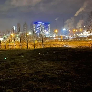Escort Wolfsburg