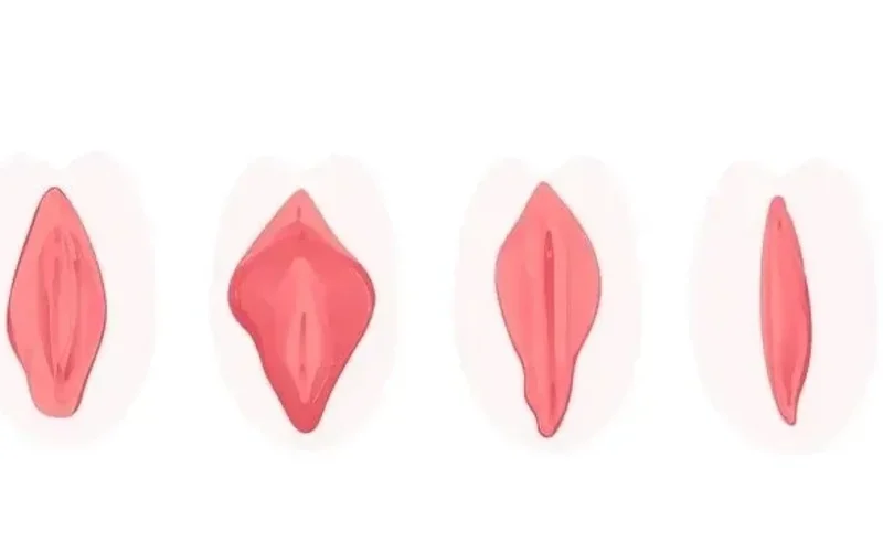 Vagina types and hairstyles