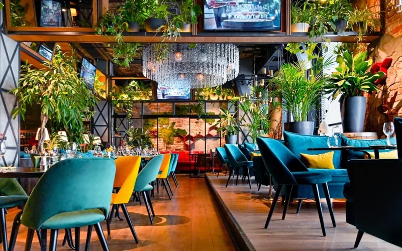 The best Dresden restaurants for an escort date
