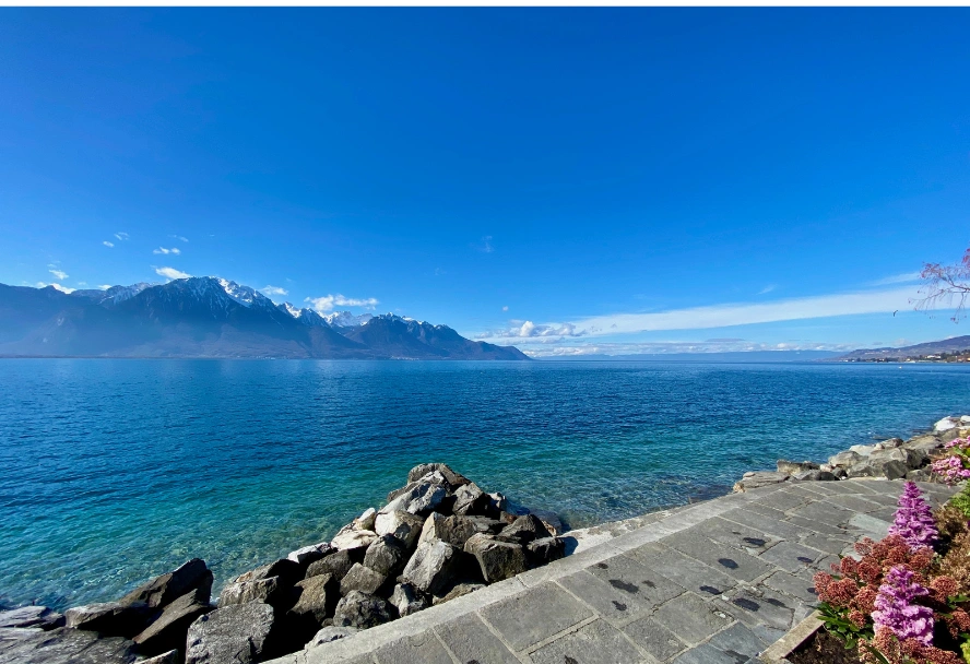 Blick auf den Genfersee