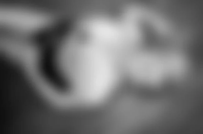 Beitrag von Kathy Ross
