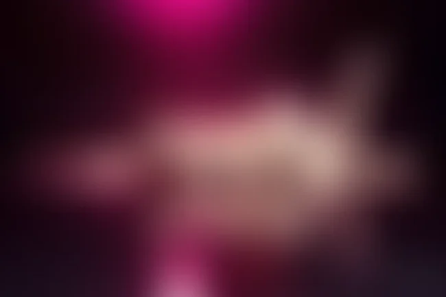 Beitrag von Aurora Venturi