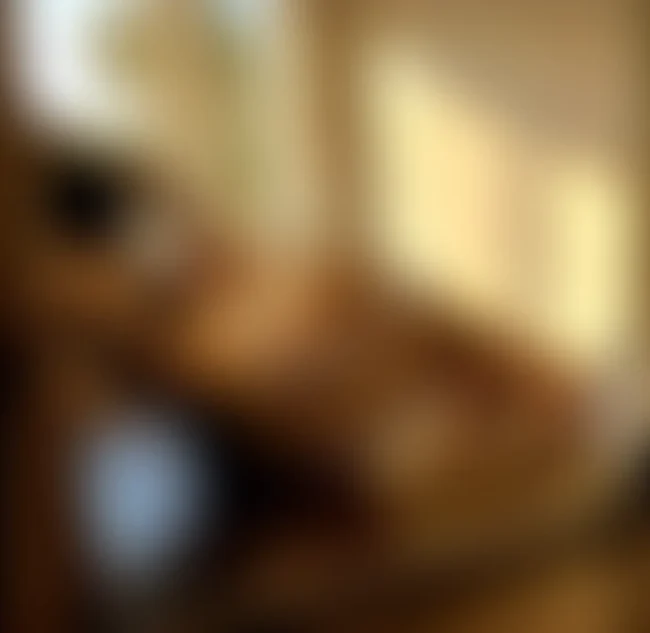 65647.webp