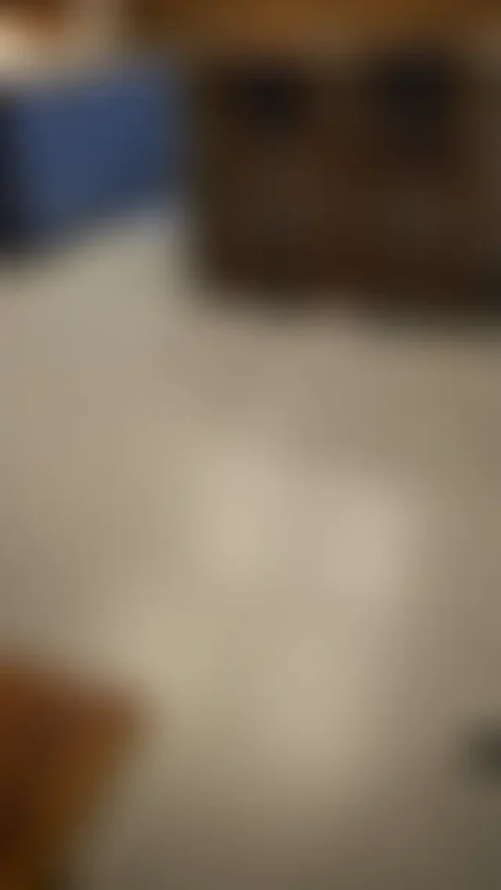 20250622_005741.mp4