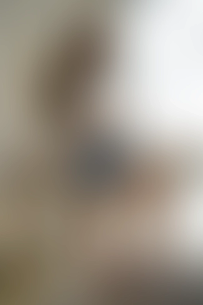 Only for VIP-Customers visible