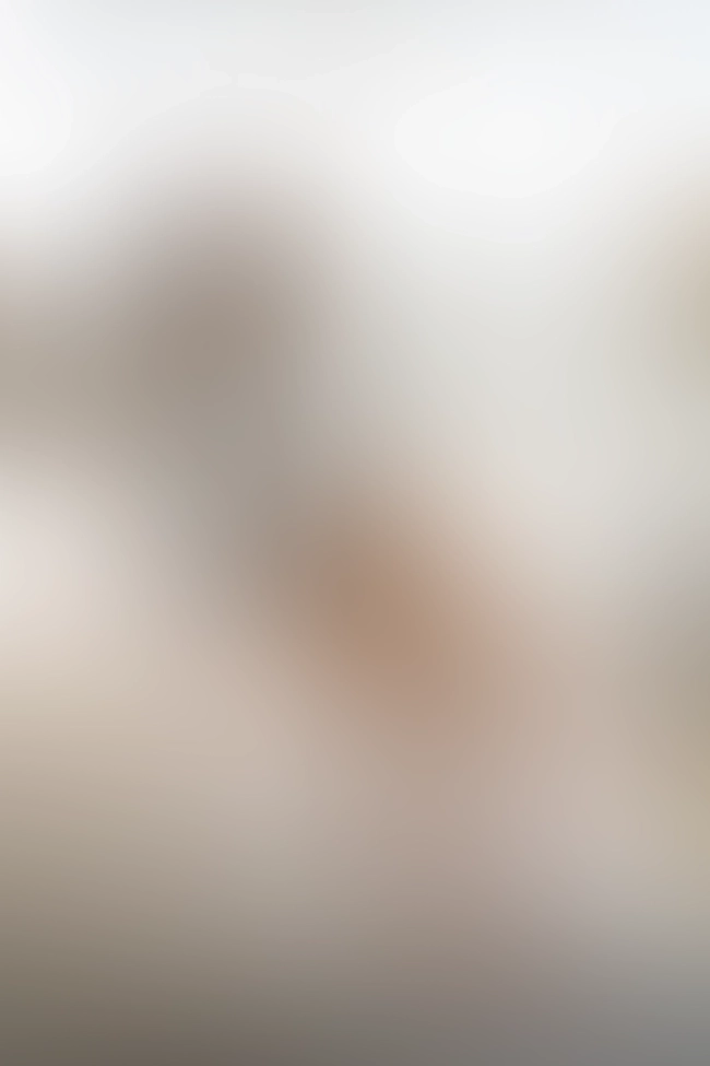 Only for VIP-Customers visible