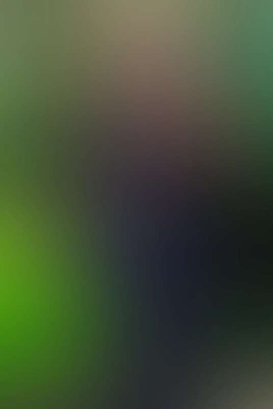 Only for VIP-Customers visible