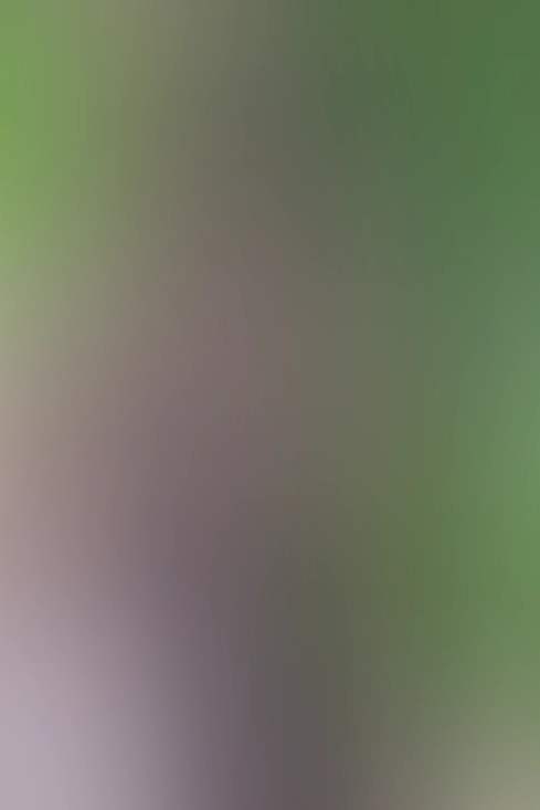 Nur für Club-Mitglieder sichtbar