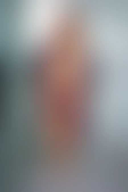 Only for VIP-Customers visible