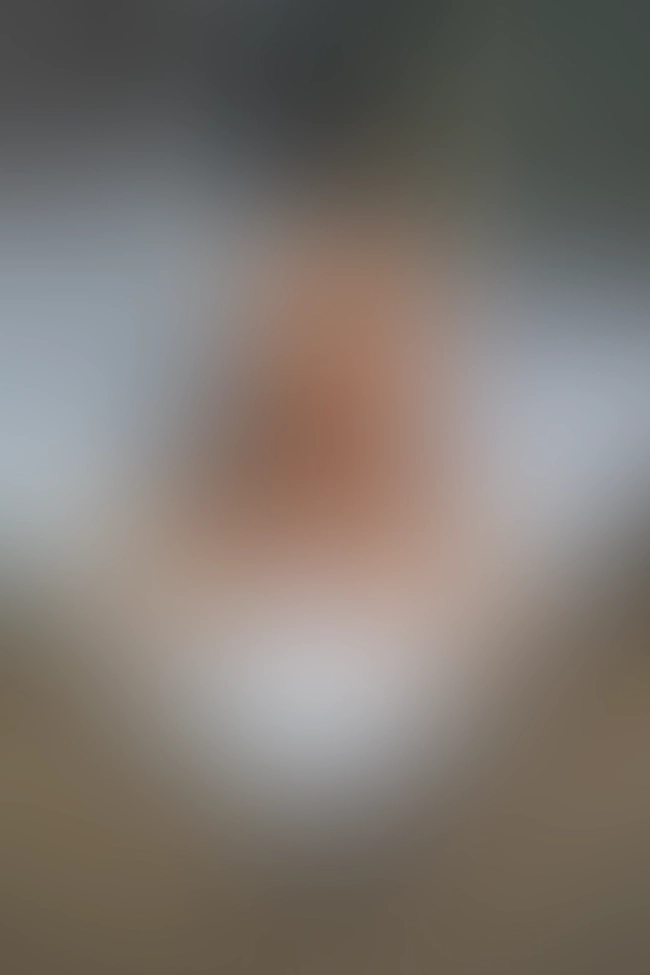 Nur für Club-Mitglieder sichtbar