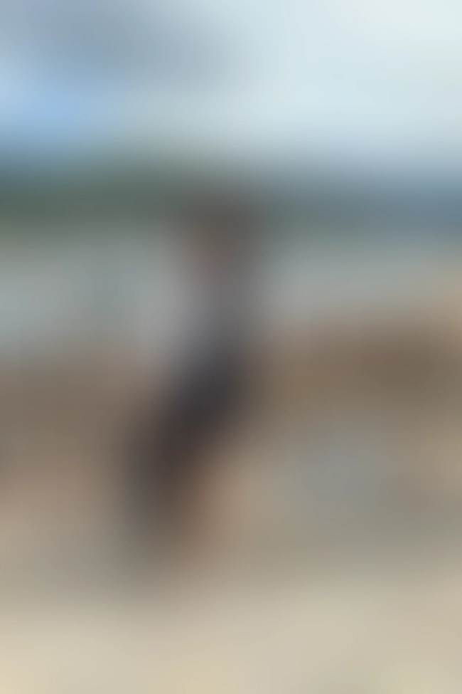 Nur für Club-Mitglieder sichtbar