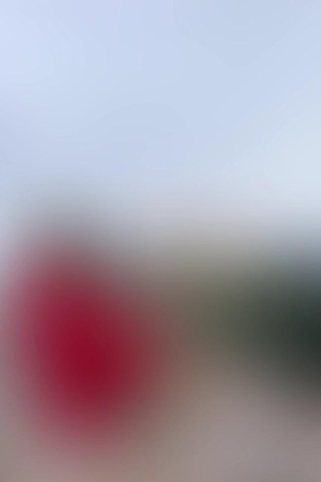 Nur für Club-Mitglieder sichtbar